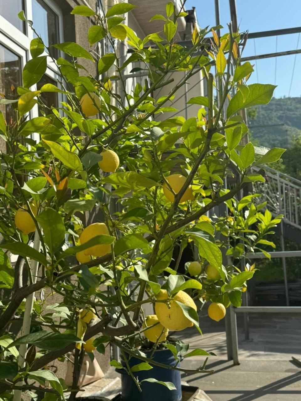 Center Hotel Goris Exterior photo